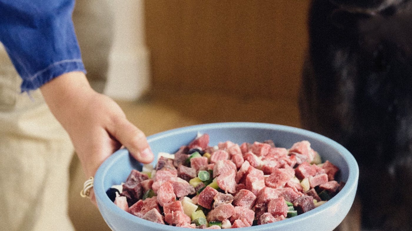 A bowl of Maev's raw food being served to a dog