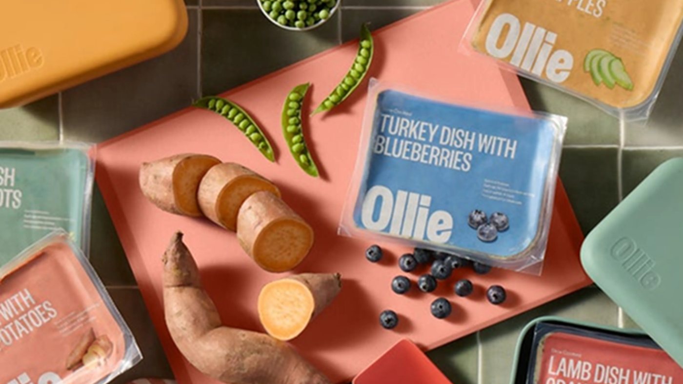 Ollie fresh dog food packs arranged with fresh produce