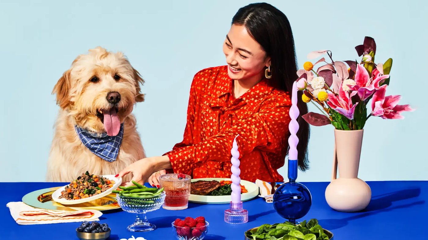 A dog and owner at a table set with The Pet's Table fresh food