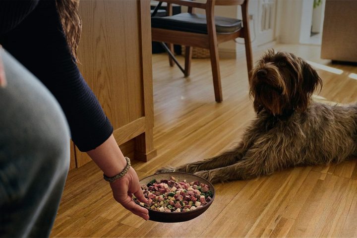 A bowl of Maev frozen raw dog food being offered to a dog lying on a wooden floor