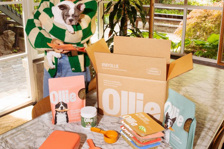 An opened Ollie starter box on a kitchen counter beside fresh and baked Ollie packs, a supplement tub and a feeding scoop
